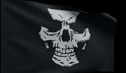 Steel Skulls Flag